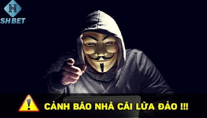 K9 lừa đảo người chơi - sự thật về câu chuyện này 1 K9 lừa đảo