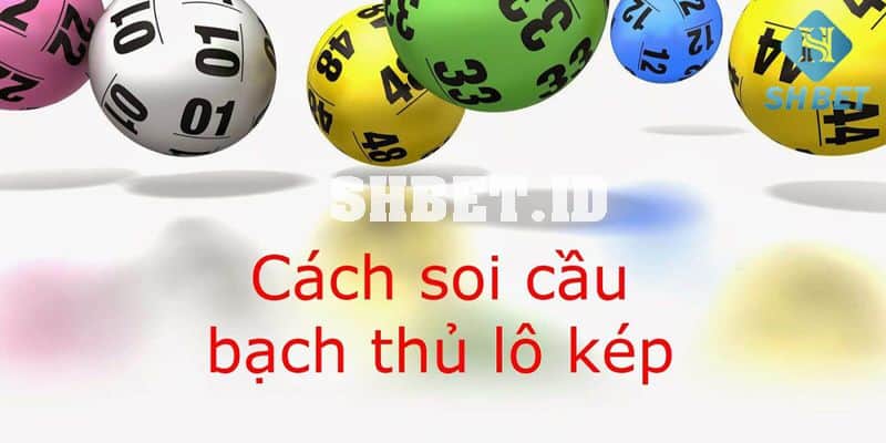 Bạch thủ lô - Phương pháp bắt bạch thủ lô miền Bắc chuẩn 5 bạch thủ lô