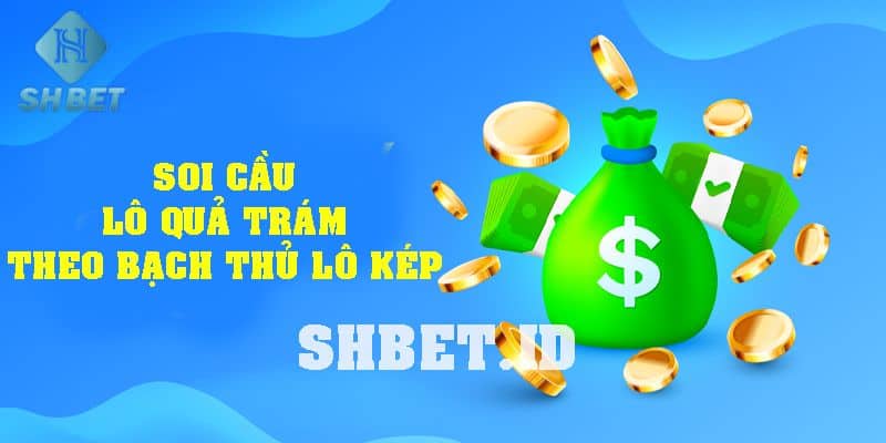 Bí quyết soi cầu lô hình quả trám - Bắt lô cầu chính xác nhất 1 lô hình quả trám