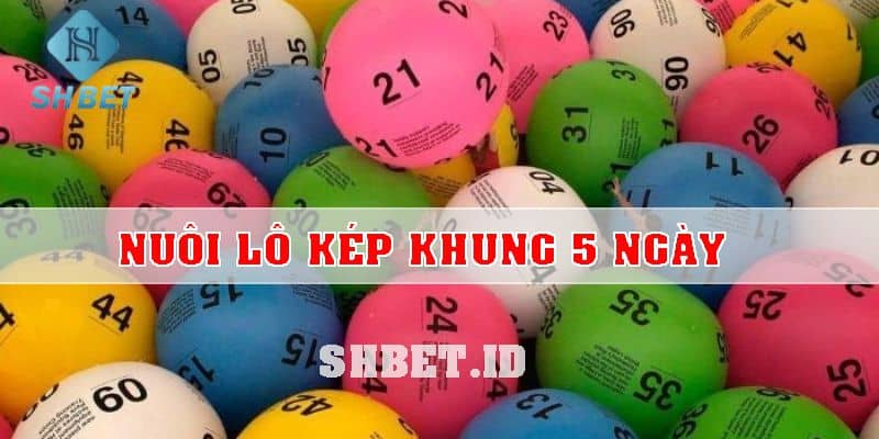 Dấu hiệu báo về đề kép và cách nhận biết chuẩn nhất 1 dấu hiệu báo về đề kép