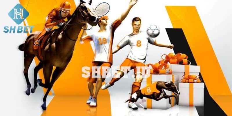 Thể thao ảo là gì? Hướng dẫn cá cược thể thao ảo 1 thể thao ảo