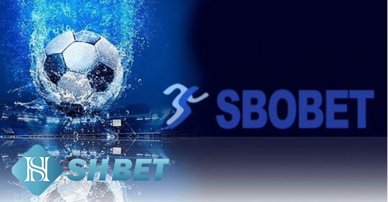 Sbobet - Nhà cái tiên phong hàng đầu  1 Sbobet - Nhà cái tiên phong hàng đầu