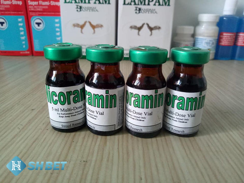 Thuốc gà đá là gì? Có công dụng như thế nào? 11 Thuốc gà đá là gì? Có công dụng như thế nào?
