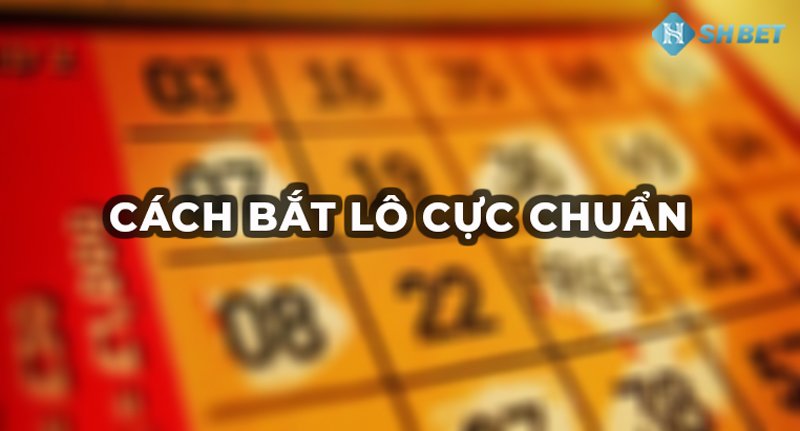 Cách bắt lô chuẩn theo ngày - Tỷ lệ ăn đến 90% 19 Cách bắt lô chuẩn theo ngày - Tỷ lệ ăn đến 90%