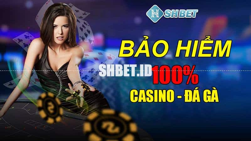 Siêu khuyến mãi - Shbet bảo hiểm 100% khách nạp lần đầu 9 Shbet bảo hiểm 100%