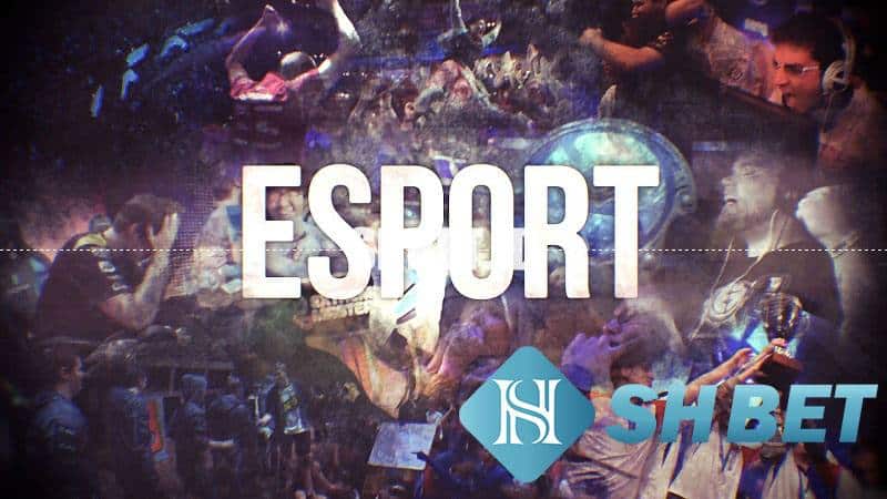 Cá cược esport - Cược thể thao điện tử uy tín  13 cá cược esport