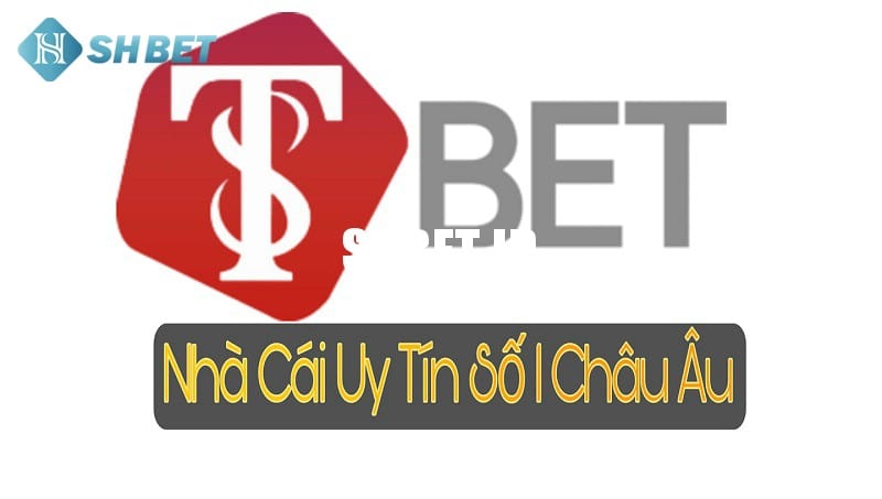 Nhà cái T8BET - Đánh giá nhà cái uy tín chất lượng 1 T8BET