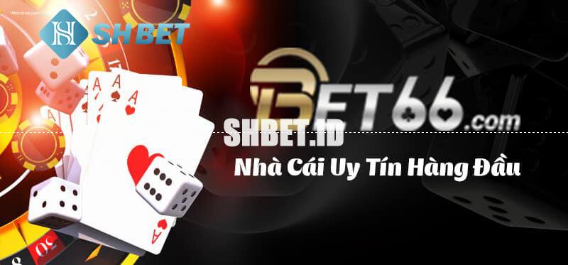 Bet66 lừa đảo có phải là thông tin thật không? 1 Bet66 lừa đảo