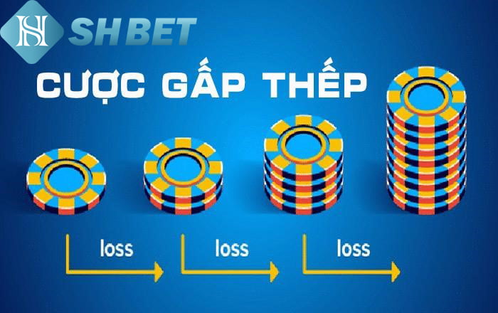 Tìm hiểu về cược gấp thếp trong cá cược 1 Tìm hiểu về cược gấp thếp trong cá cược