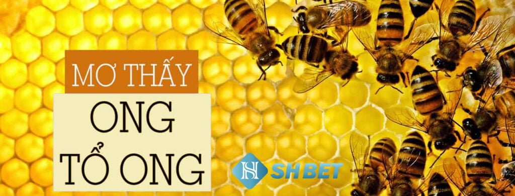 Mơ thấy tổ ong có điềm báo gì? Giải mã giấc mơ ngay hôm nay! 33 Mơ thấy tổ ong có điềm báo gì? Giải mã giấc mơ ngay hôm nay!