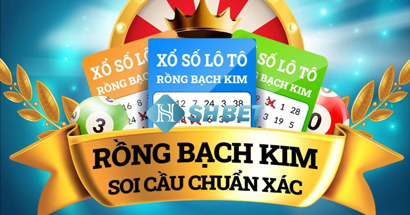 Lô chơi nhiều nhất Rồng bạch kim và cách soi cầu 1 Lô chơi nhiều nhất Rồng bạch kim và cách soi cầu