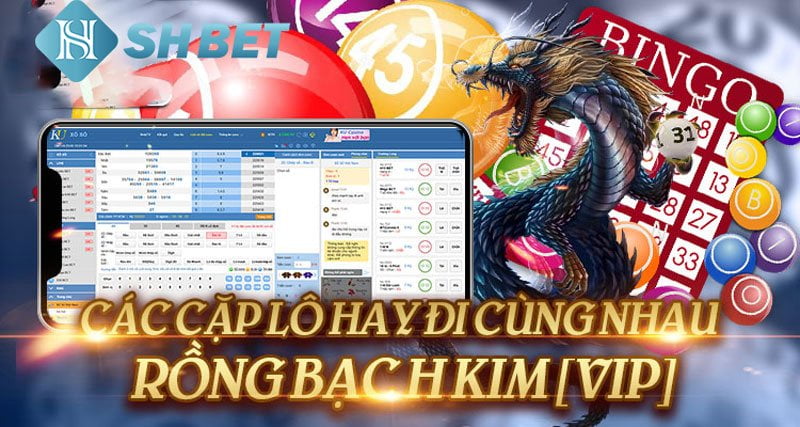 Lô hay đi cùng nhau rồng bạch kim - Lô đề rồng bạch kim 13 Lô hay đi cùng nhau rồng bạch kim - Lô đề rồng bạch kim