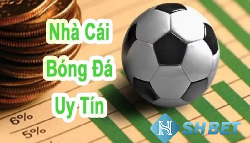 Nhà cái bóng đá - Cách thức hoạt động ra sao?  1 Nhà cái bóng đá - Cách thức hoạt động ra sao?