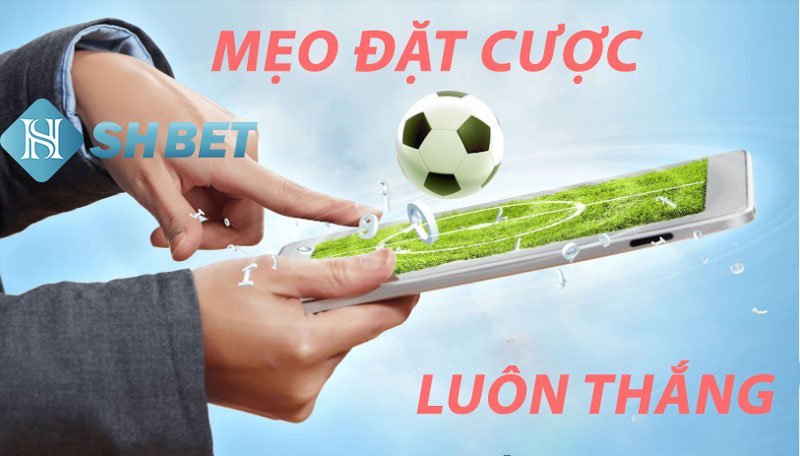 Phương pháp cá độ hiệu quả không thua 1 Phương pháp cá độ hiệu quả không thua