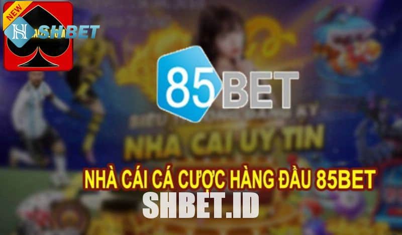 Nhà cái 85bet - Cổng game uy tín hàng đầu hiện nay 1 Nhà cái 85bet - Cổng game uy tín hàng đầu hiện nay