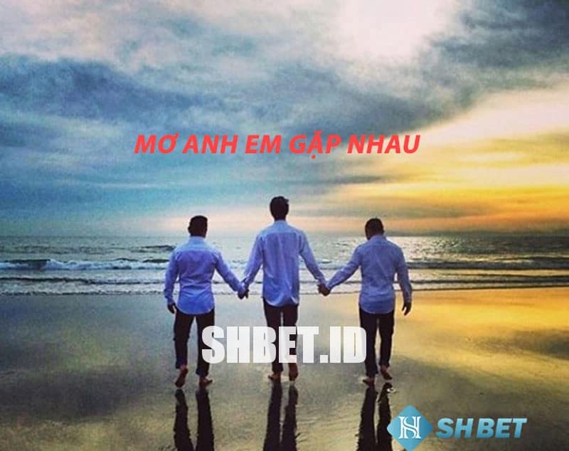 Ngủ mơ anh em gặp nhau là điềm gì? Đánh con mấy?  7 Ngủ mơ anh em gặp nhau là điềm gì? Đánh con mấy?