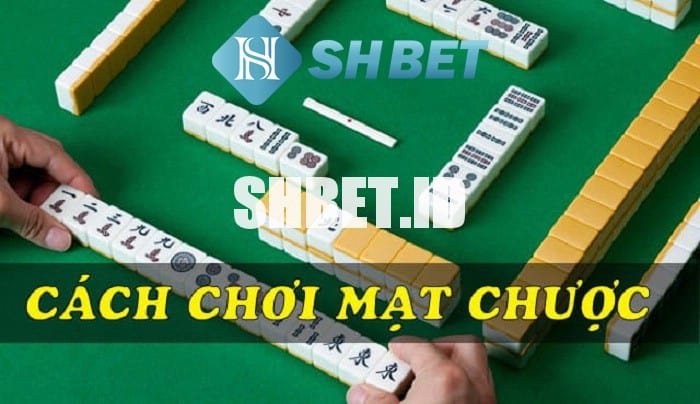 Hướng dẫn cách chơi mạt chượt chi tiết 2023 20 Hướng dẫn cách chơi mạt chượt chi tiết
