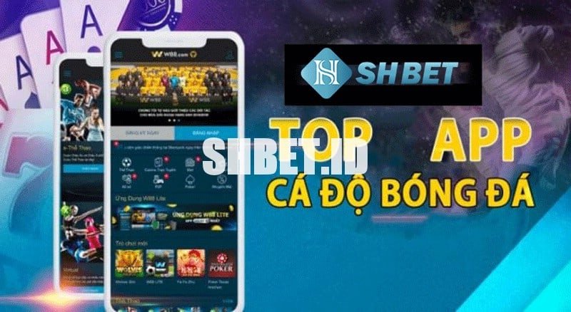 Top các app cá độ bóng đá trên điện thoại 2023 1 Top các app cá độ bóng đá trên điện thoại