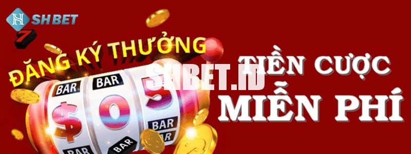 Top nhà cái thưởng thành viên mới 2022 1 Top nhà cái thưởng thành viên mới 2022
