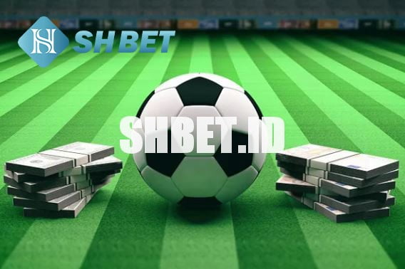 Bóng đá ảo là gì? Cách hoạt động ra sao? 1 bóng đá ảo