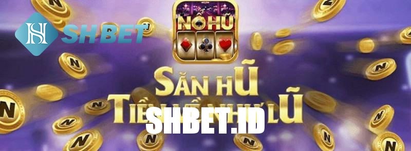 Nhà cái Nohu888 đem đến trải nghiệm cá cược cực khủng 1 Nhà cái Nohu888 đem đến trải nghiệm cá cược cực khủng