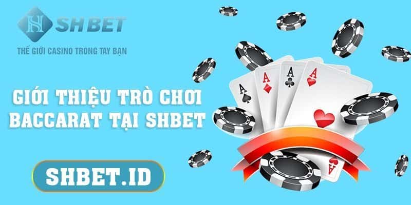 Đặc điểm nổi bật của trò chơi Blackjack tại SHBET có 1 0 2 7 Đặc điểm nổi bật của trò chơi Blackjack tại SHBET có 1 0 2
