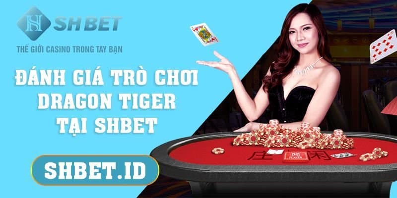 Đánh giá trò chơi Dragon Tiger tại SHBET chi tiết nhất 2023 13 Đánh giá trò chơi Dragon Tiger tại SHBET chi tiết nhất 2023